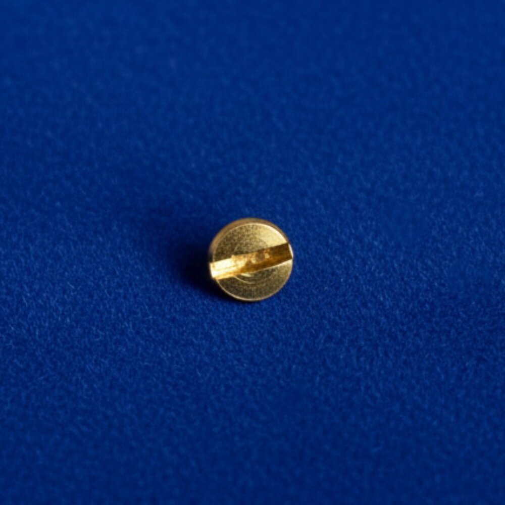 Replacement Screw for Charles Revson The Love Bracelet + Other Brands